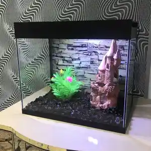 Подарочный аквариум