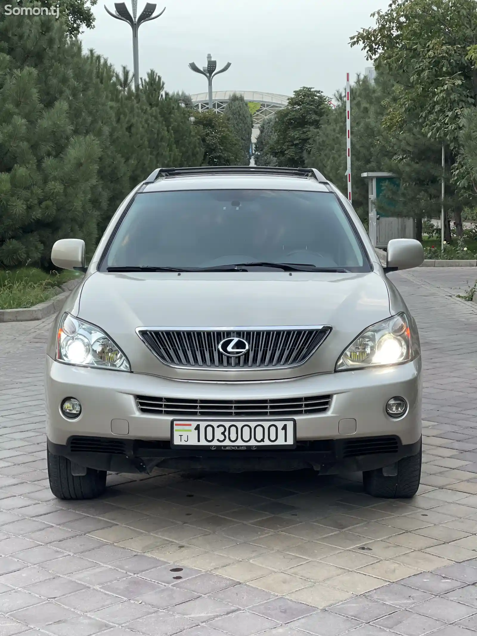 Lexus RX series, 2006-1