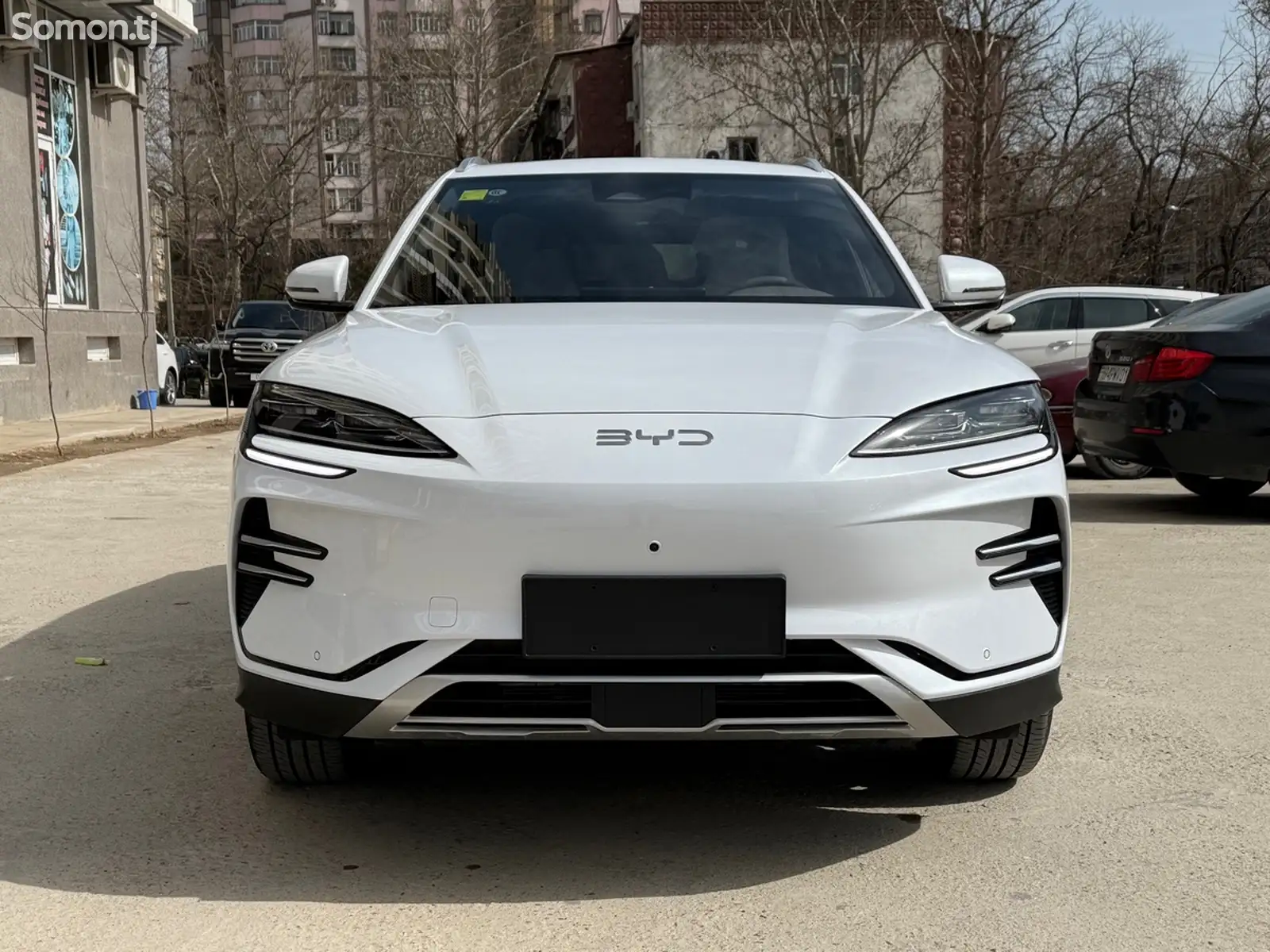 BYD Song Plus Flagship, 2025-1