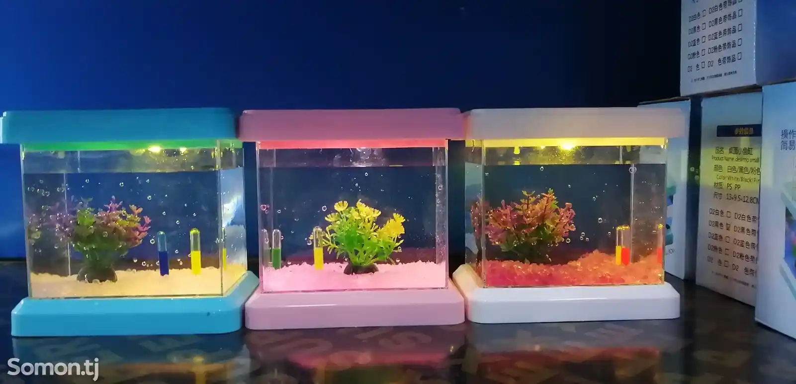 Мини-аквариум-6