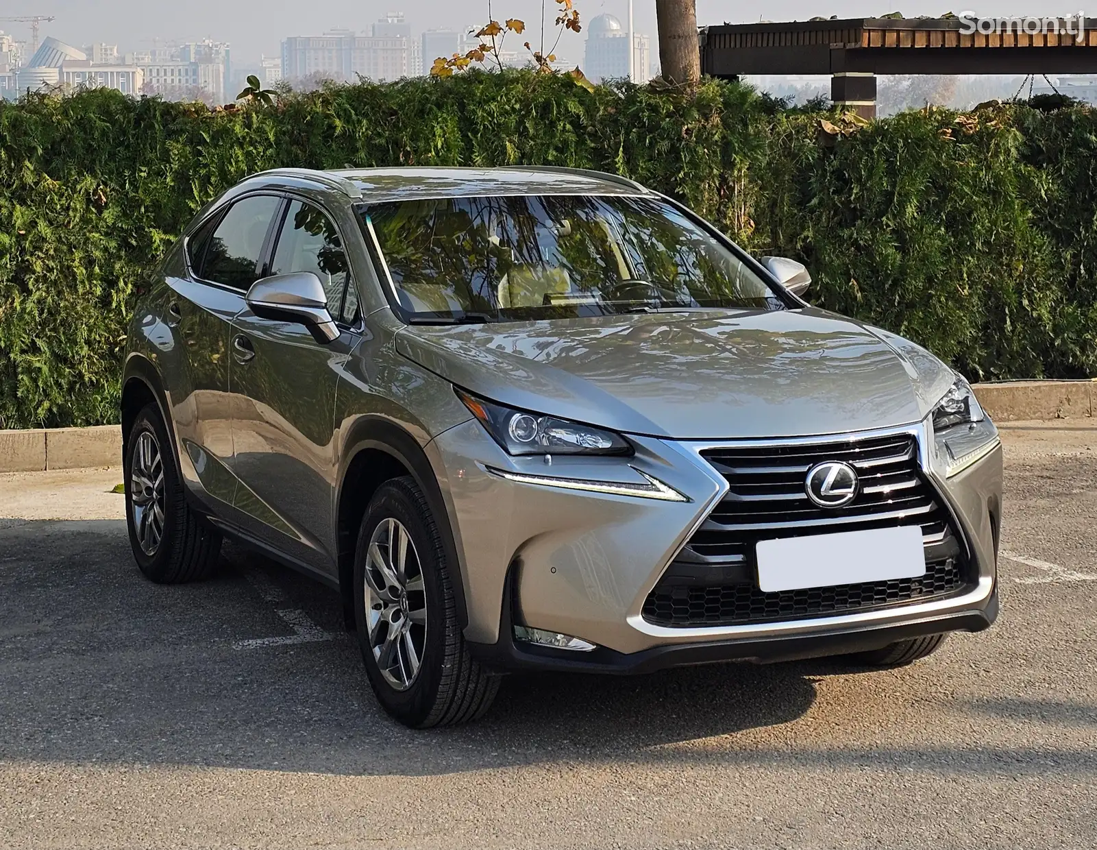 Lexus NX series, 2016-1