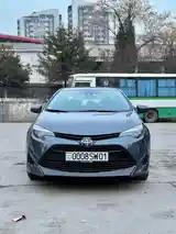 Toyota Corolla, 2019-2