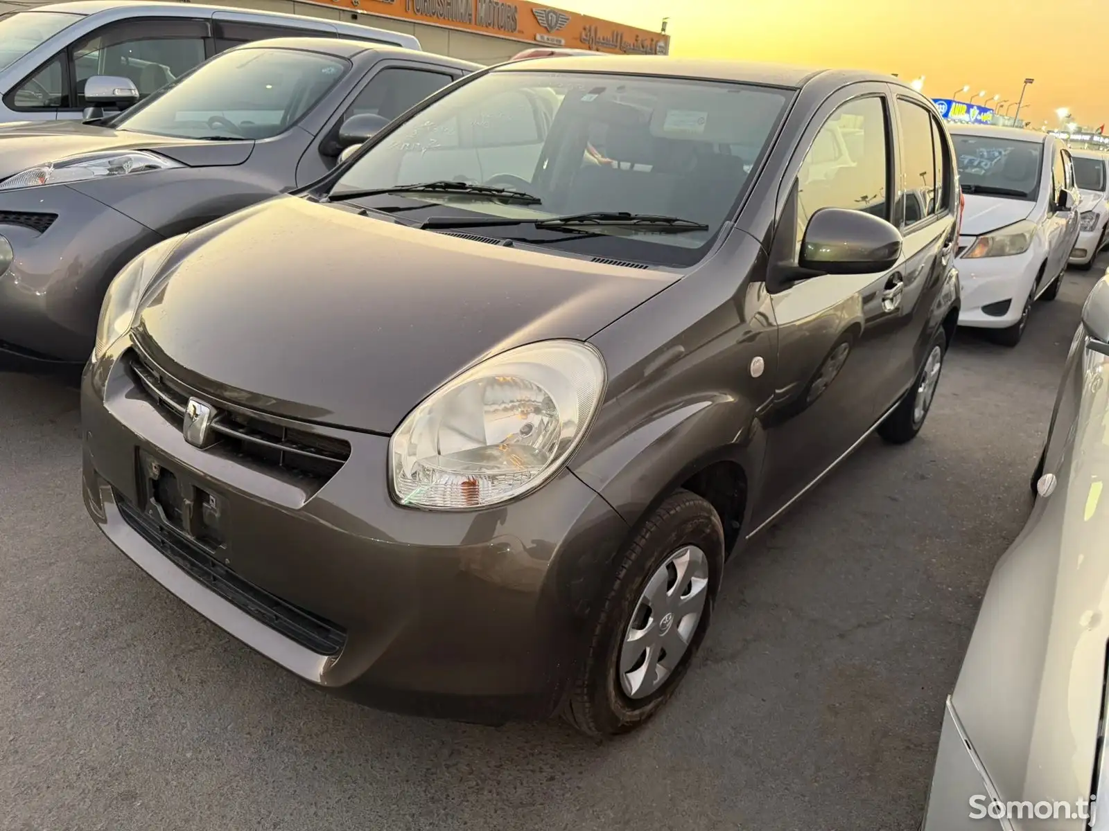 Toyota Paseo, 2014-1