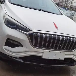 Hongqi E-HS3, 2019