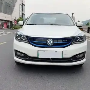 Dongfeng Landian E5, 2019