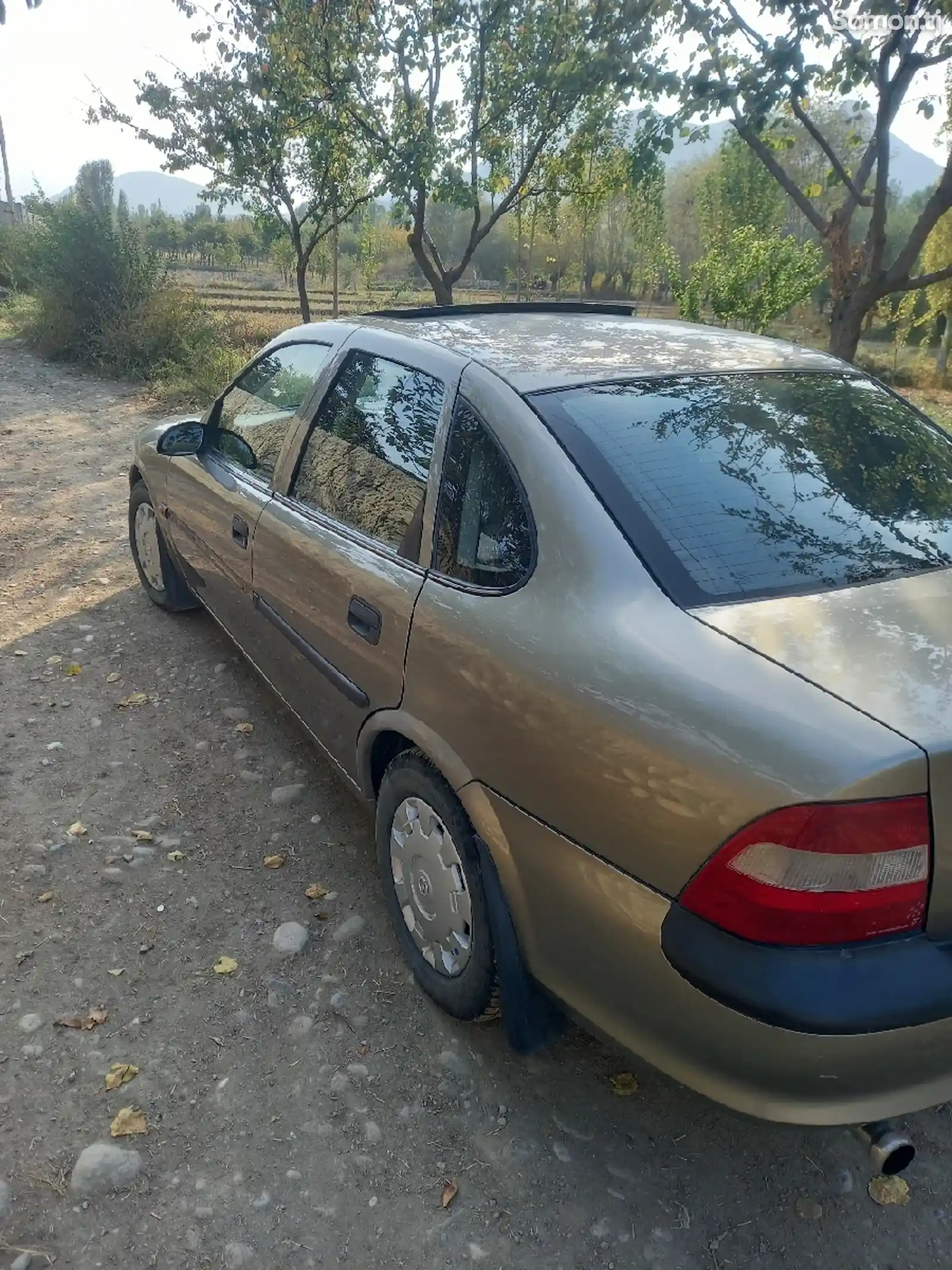 Opel Vectra B, 1996-4