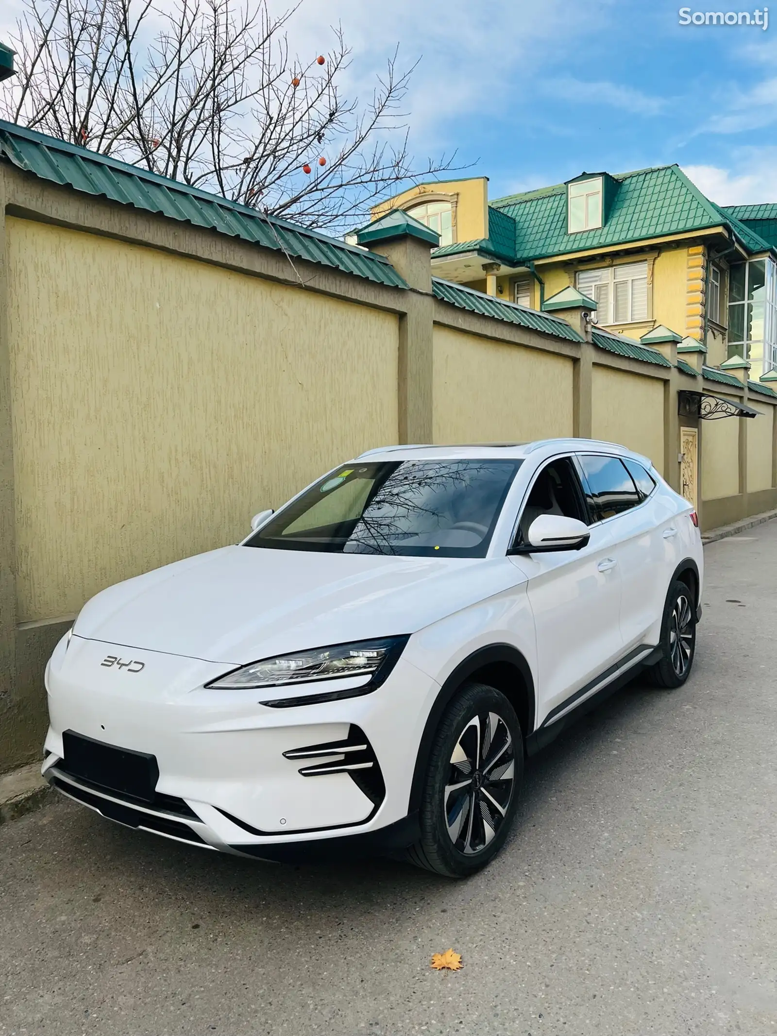 BYD Song Plus Flagship, 2024-1