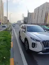 Hyundai Palisade, 2019-3