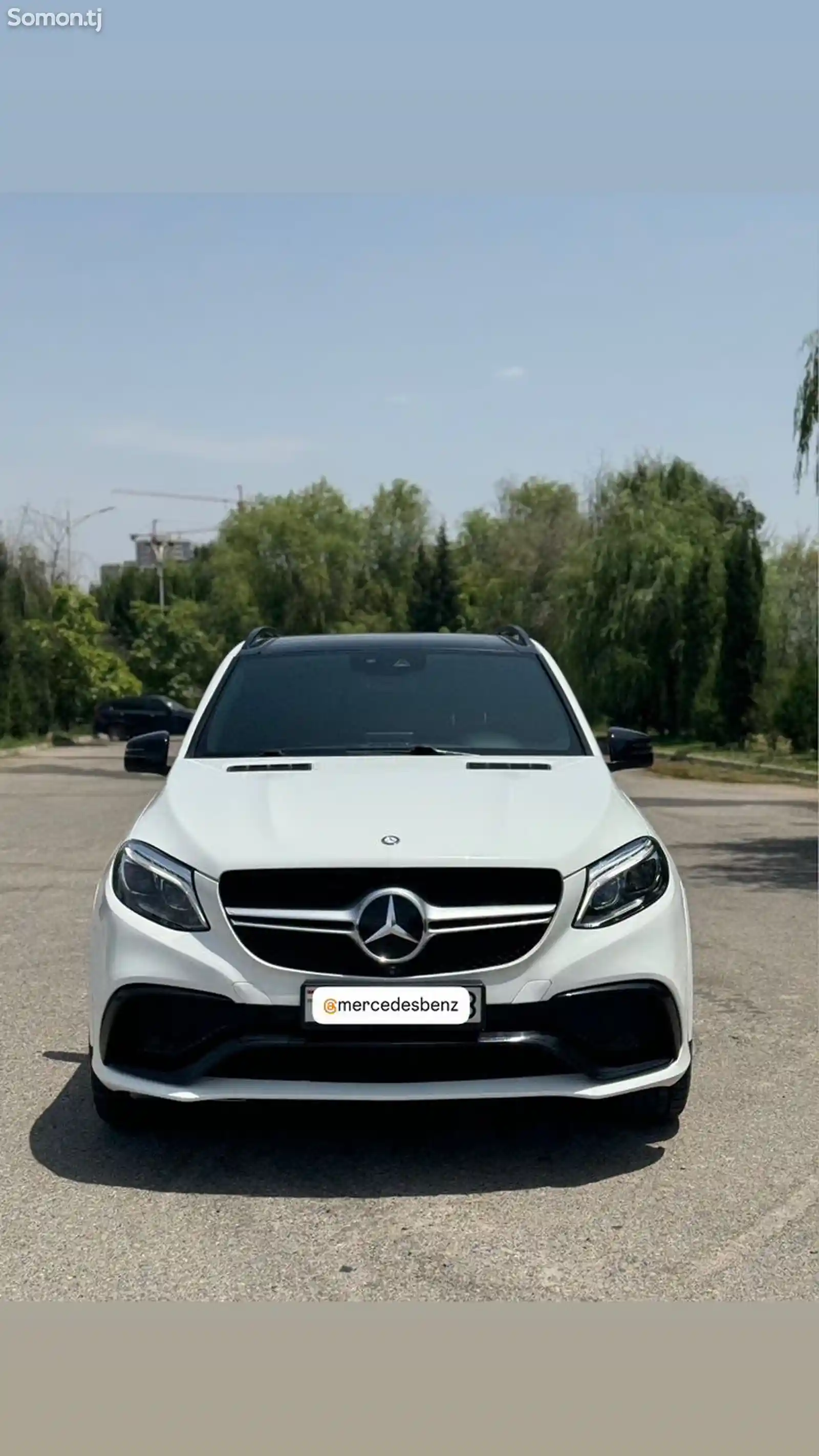 Mercedes-Benz GLE class, 2017-3