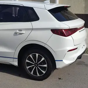 BYD E2, 2021