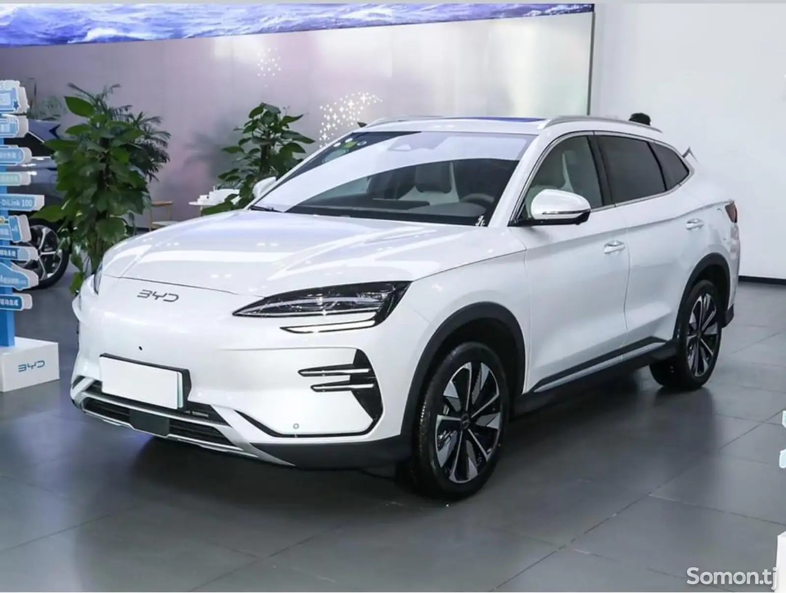 BYD Song Plus Flagship, 2024-1