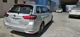 Toyota Fielder, 2016-11