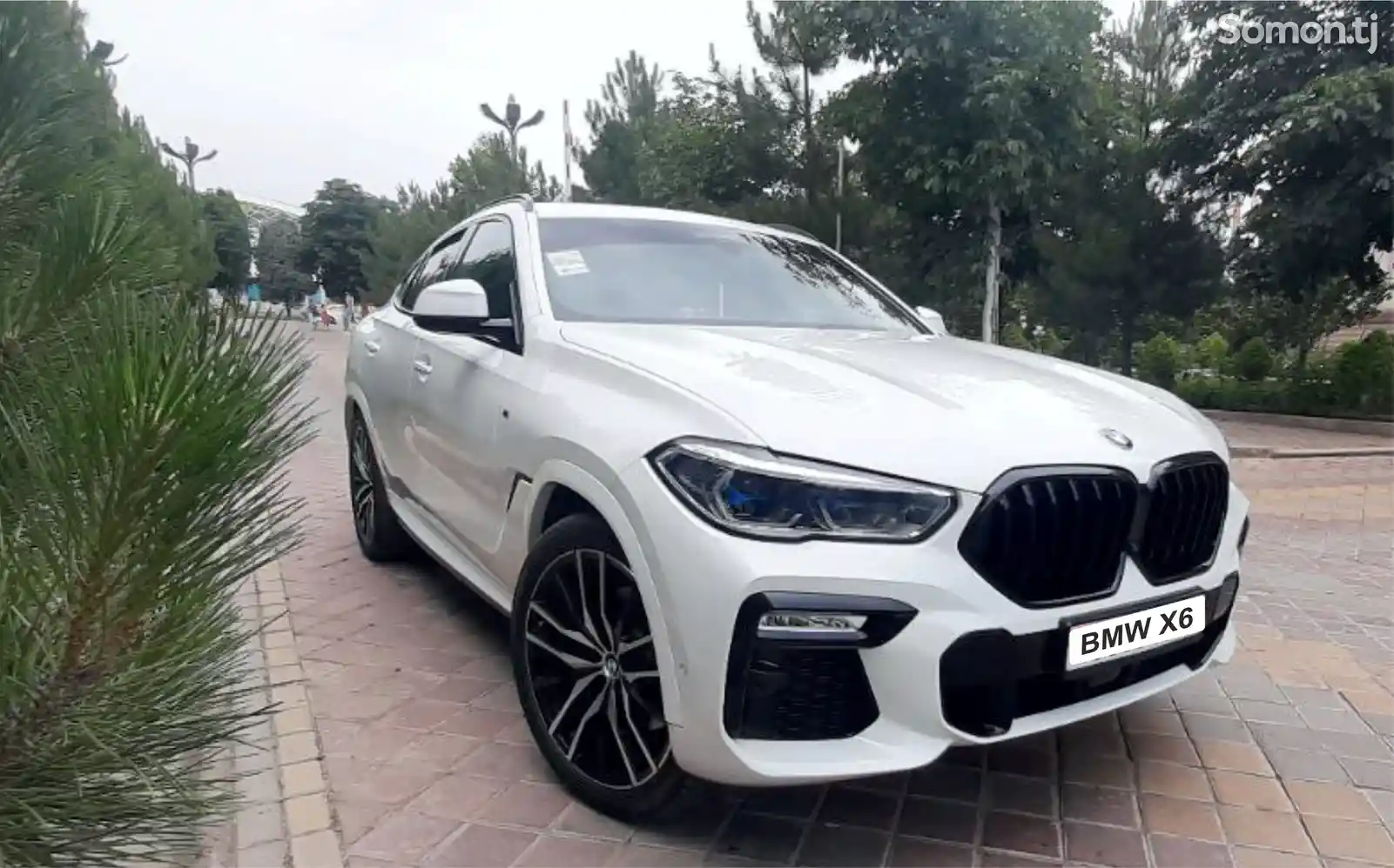 BMW X6, 2021-4