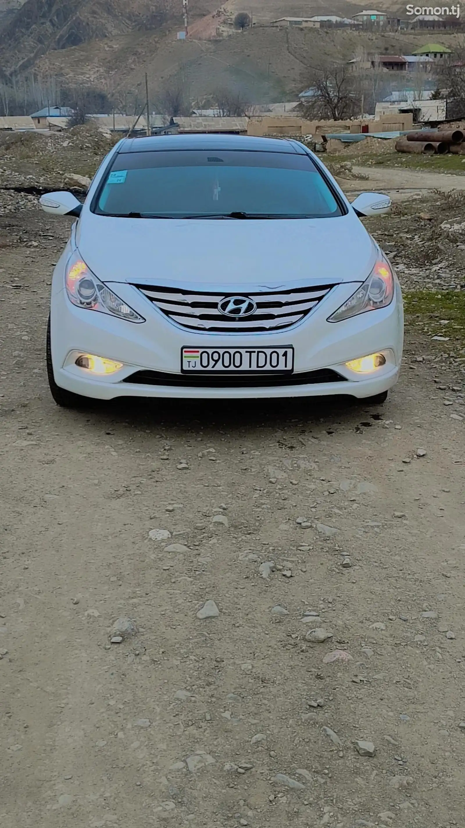 Hyundai Sonata, 2010-1