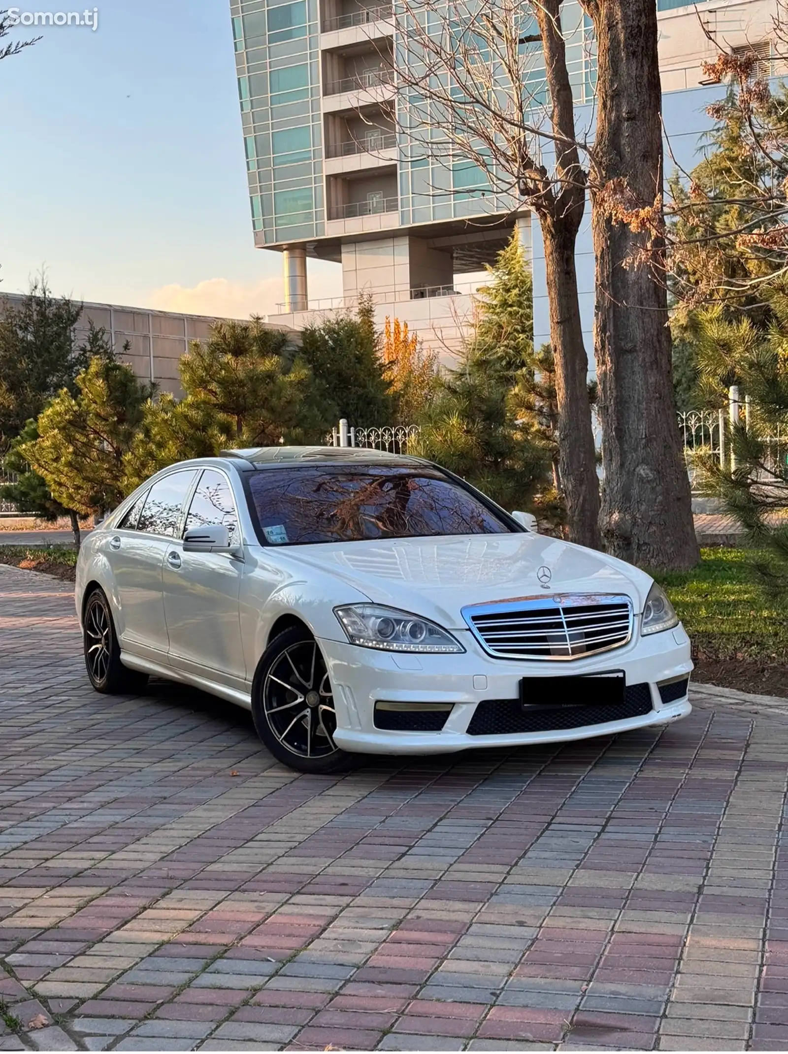 Mercedes-Benz S class, 2007-1