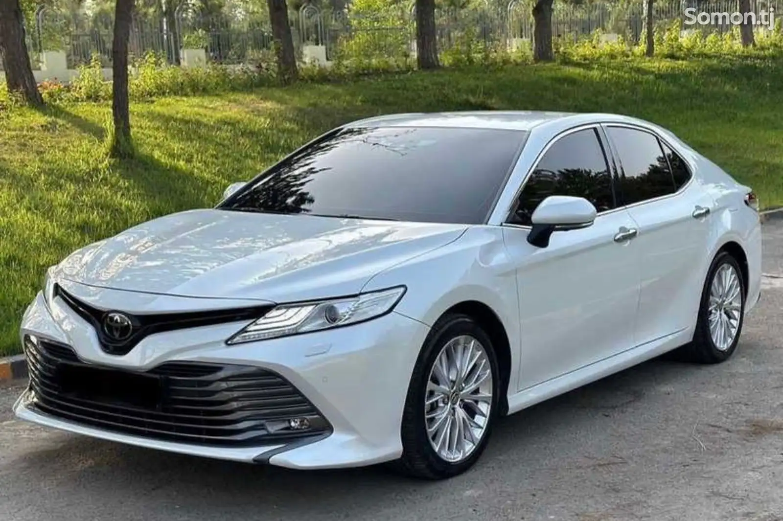 Toyota Camry, 2019-1