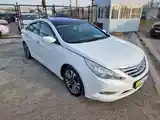 Hyundai Sonata, 2010-3