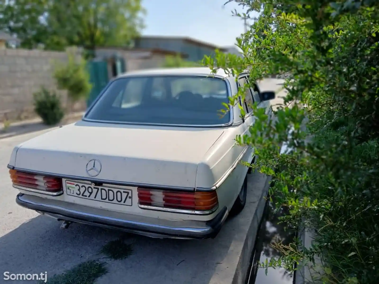 Mercedes-Benz W201, 1981-6