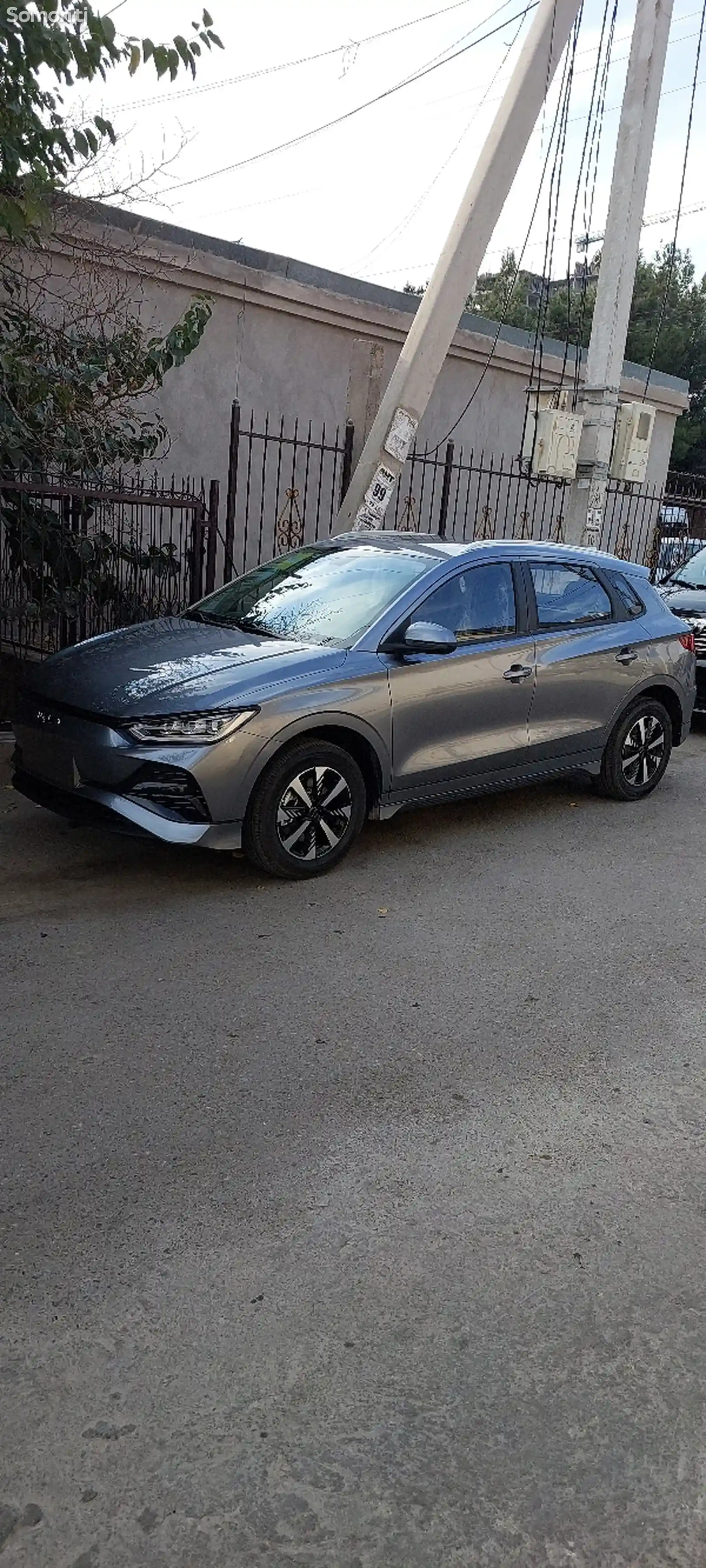 BYD Dolphin, 2024-2