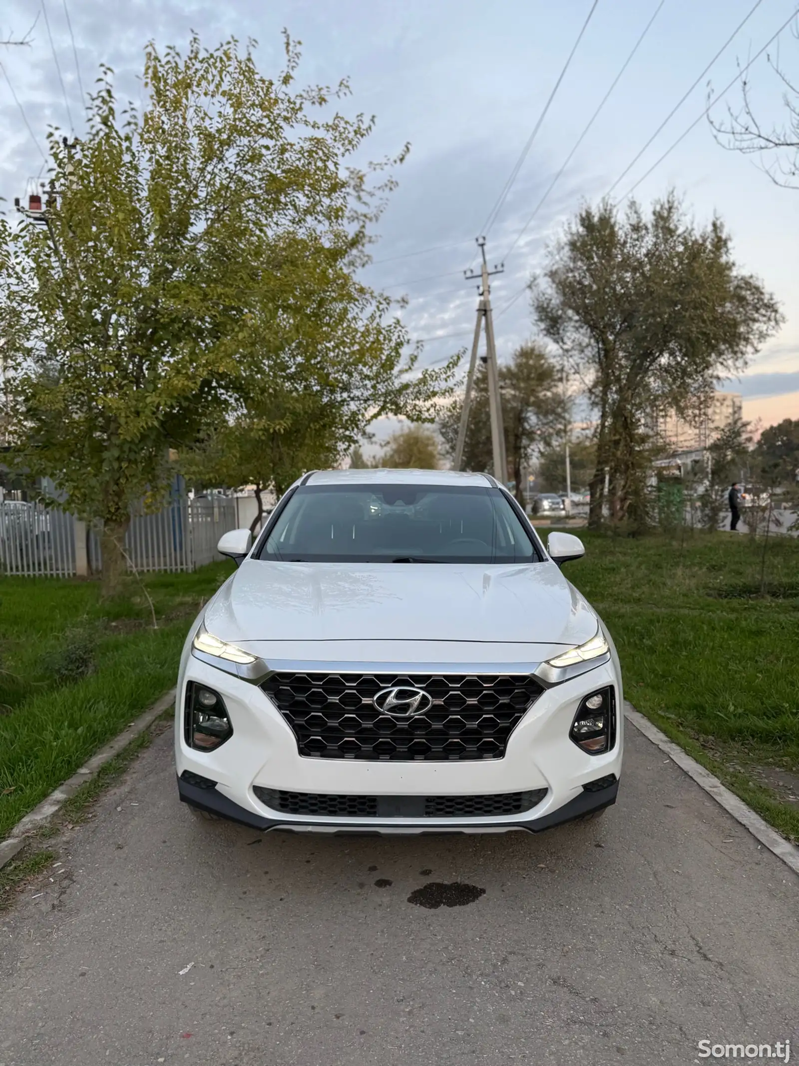 Hyundai Santa Fe, 2019-1