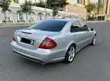 Mercedes-Benz E class, 2007-6