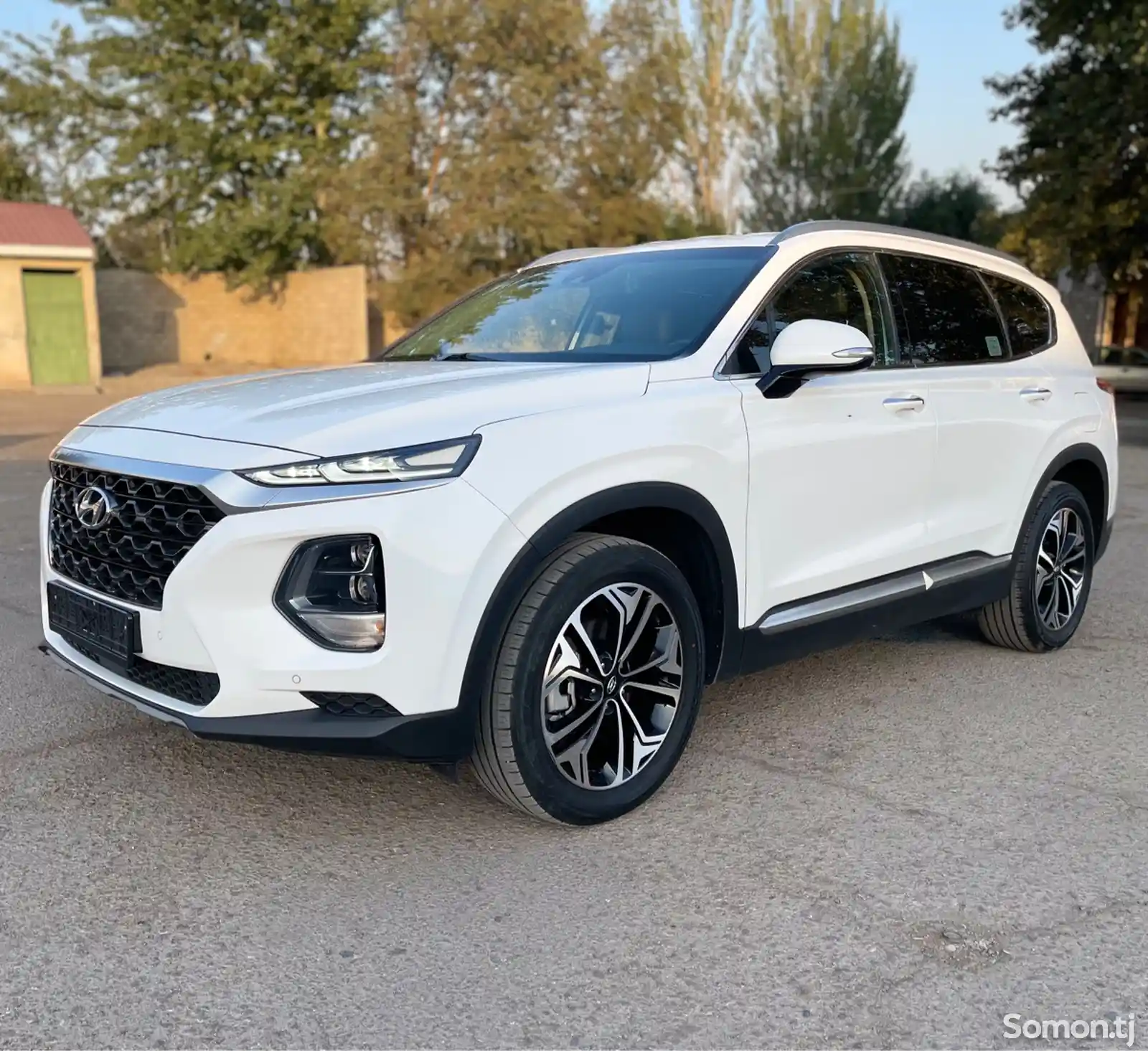 Hyundai Santa Fe, 2020-3