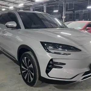 BYD Song Plus Flagship, 2024