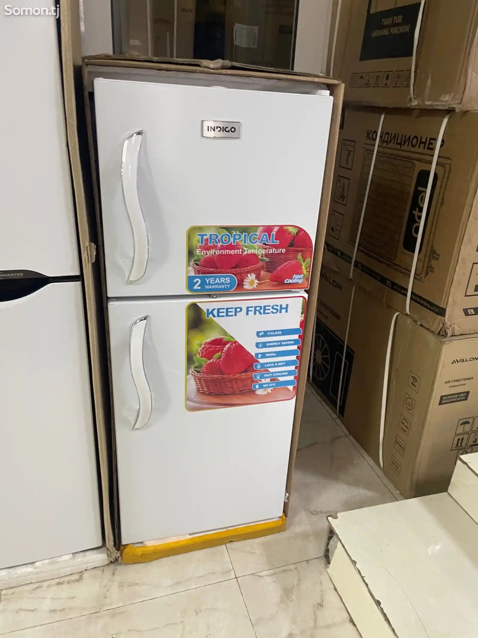 Холодильник Indigo-1