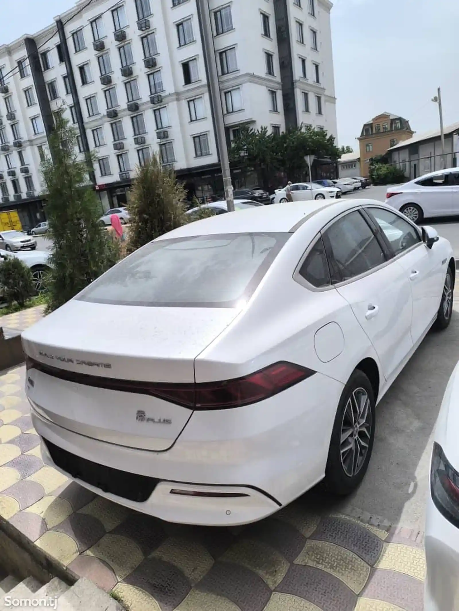 BYD Qin Plus, 2024-2