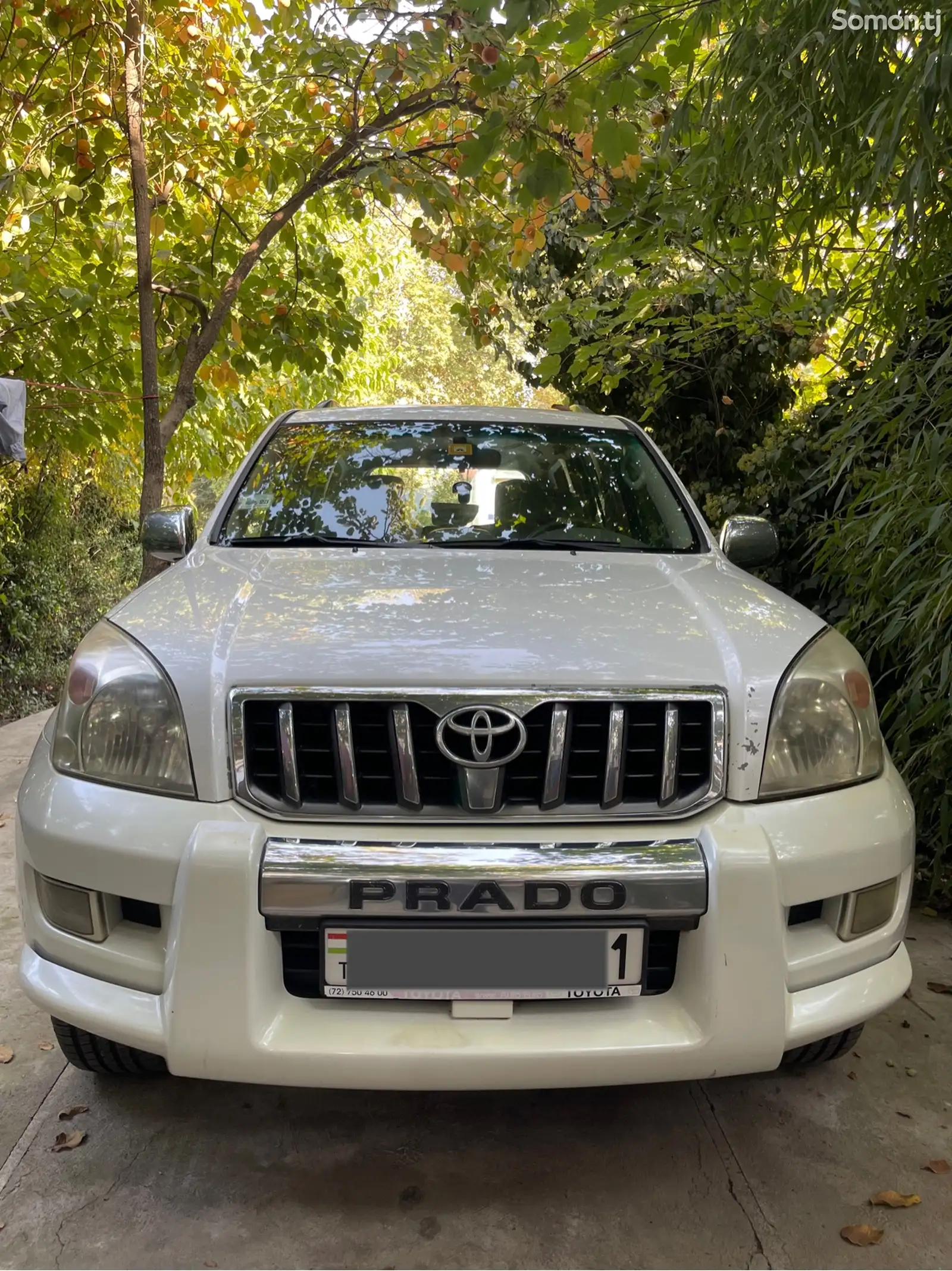 Toyota Land Cruiser Prado, 2008-1