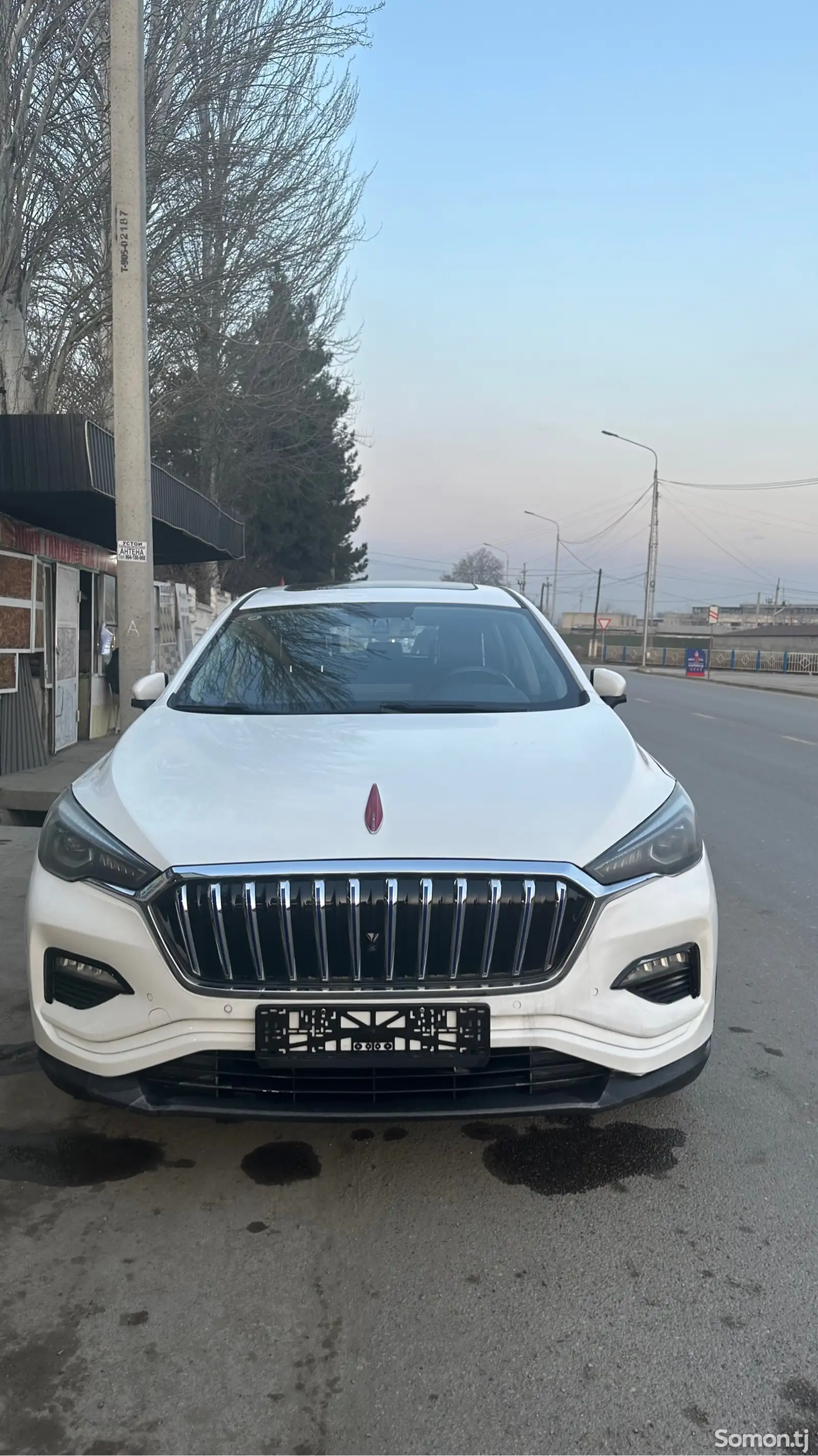 Hongqi E-HS3, 2019-1