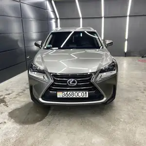 Lexus NX series, 2016