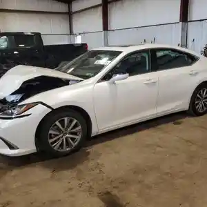 Lexus ES series, 2019