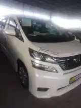 Toyota Vellfire, 2010-12