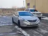 Hyundai Sonata, 2010-4