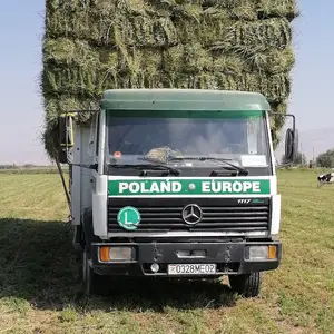 Бортовой грузовик Mercedes-Benz Actros, 1998