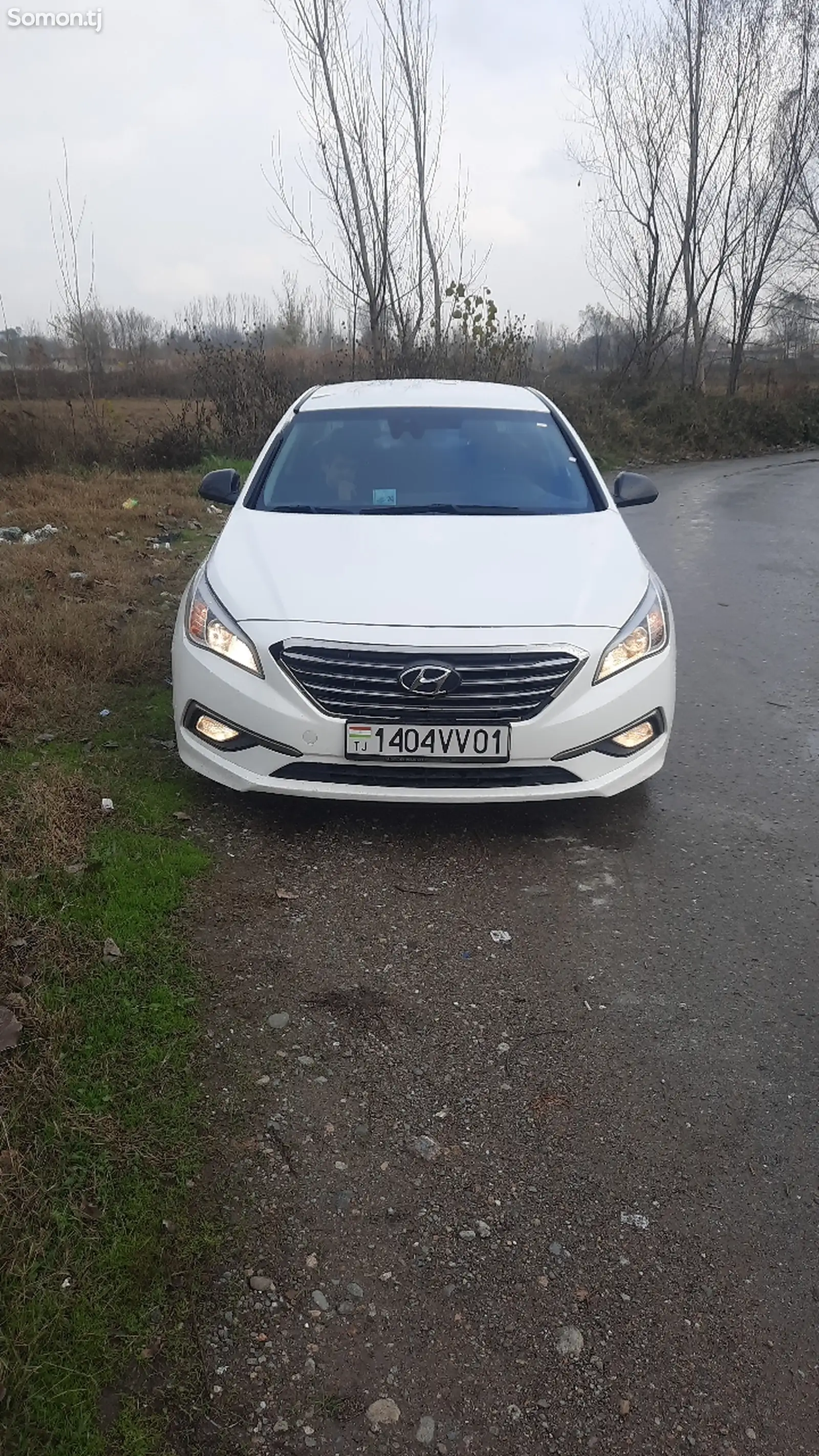 Hyundai Sonata, 2015-1