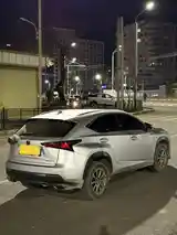 Lexus NX series, 2018-2