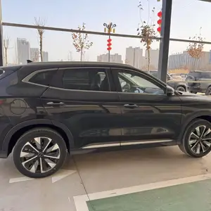 BYD Song Plus, 2025