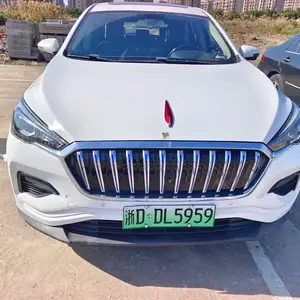 Hongqi E-HS3, 2019