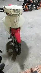 Скутер Утка Honda-2