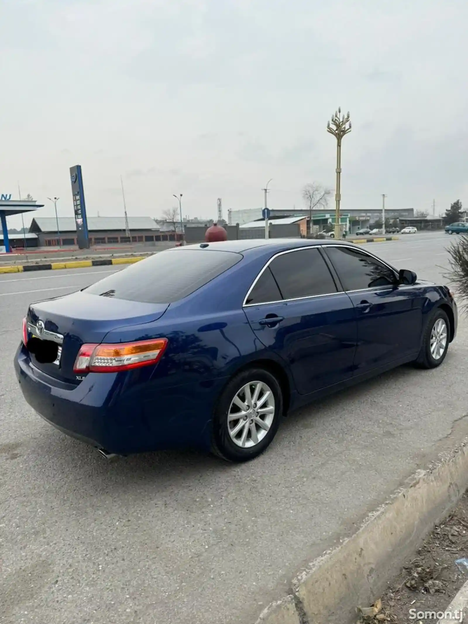 Toyota Camry Gracia, 2010-3