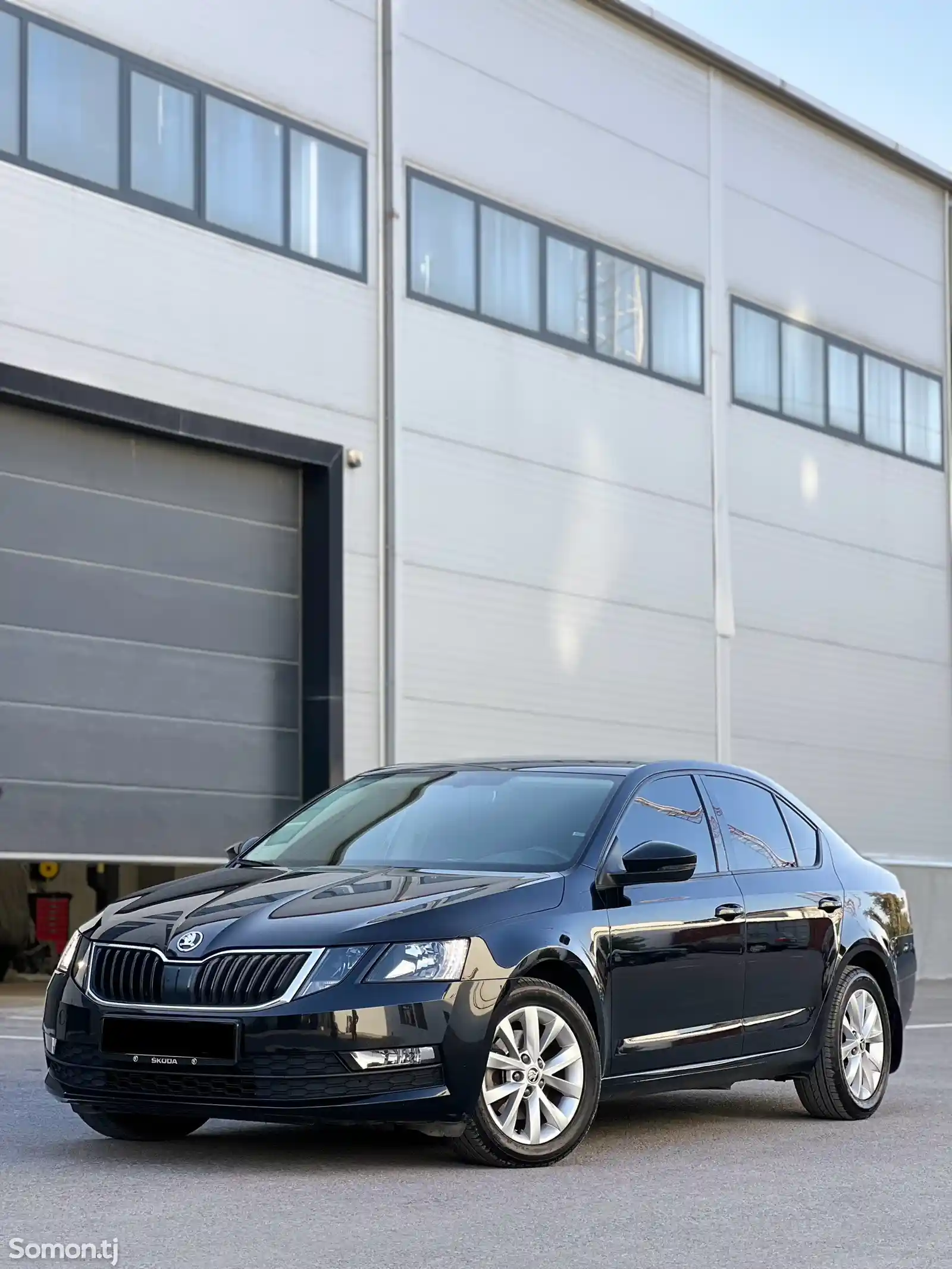 Skoda Octavia, 2019-3