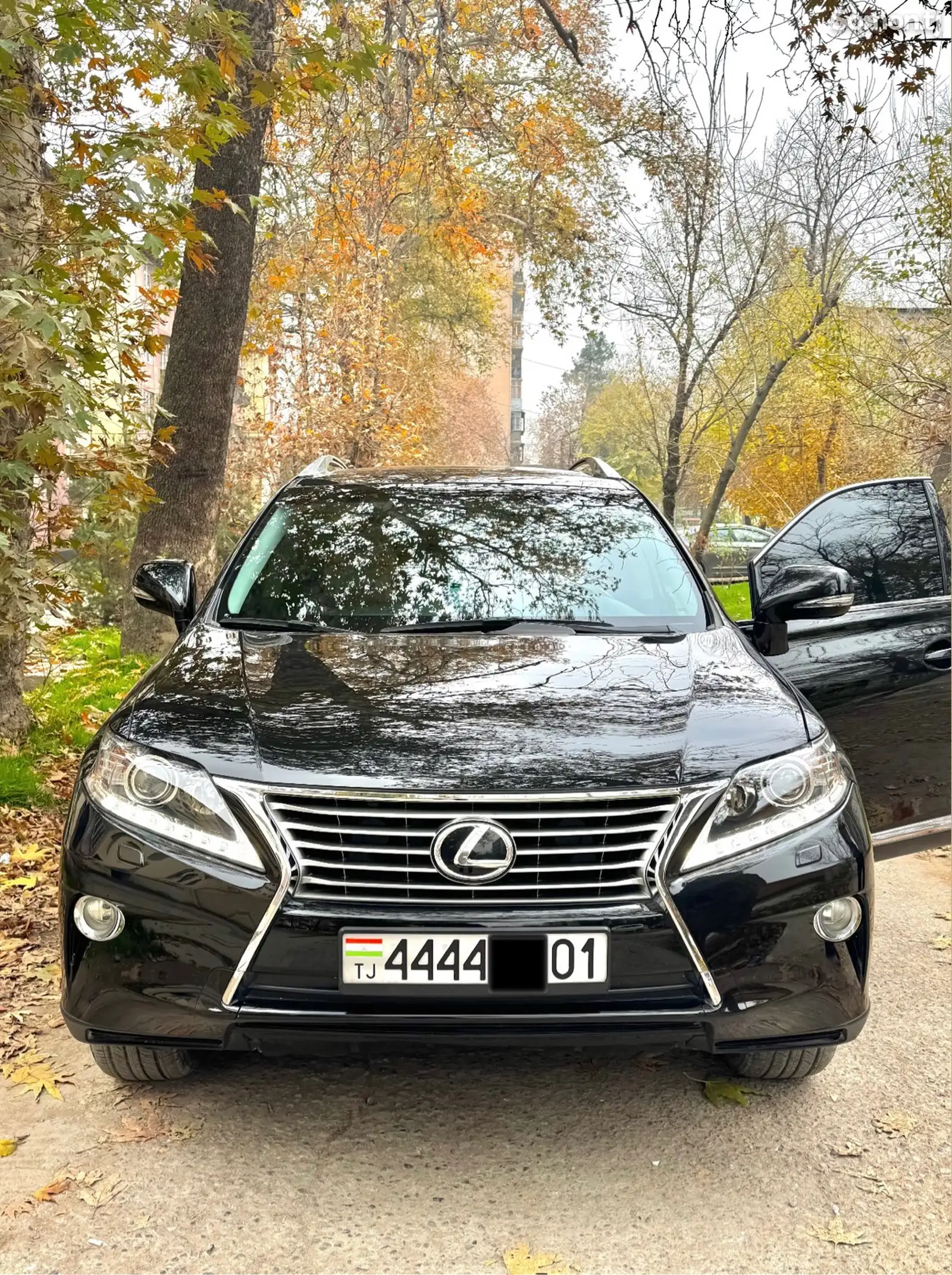 Lexus RX series, 2013-1