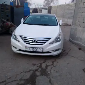 Hyundai Sonata, 2010