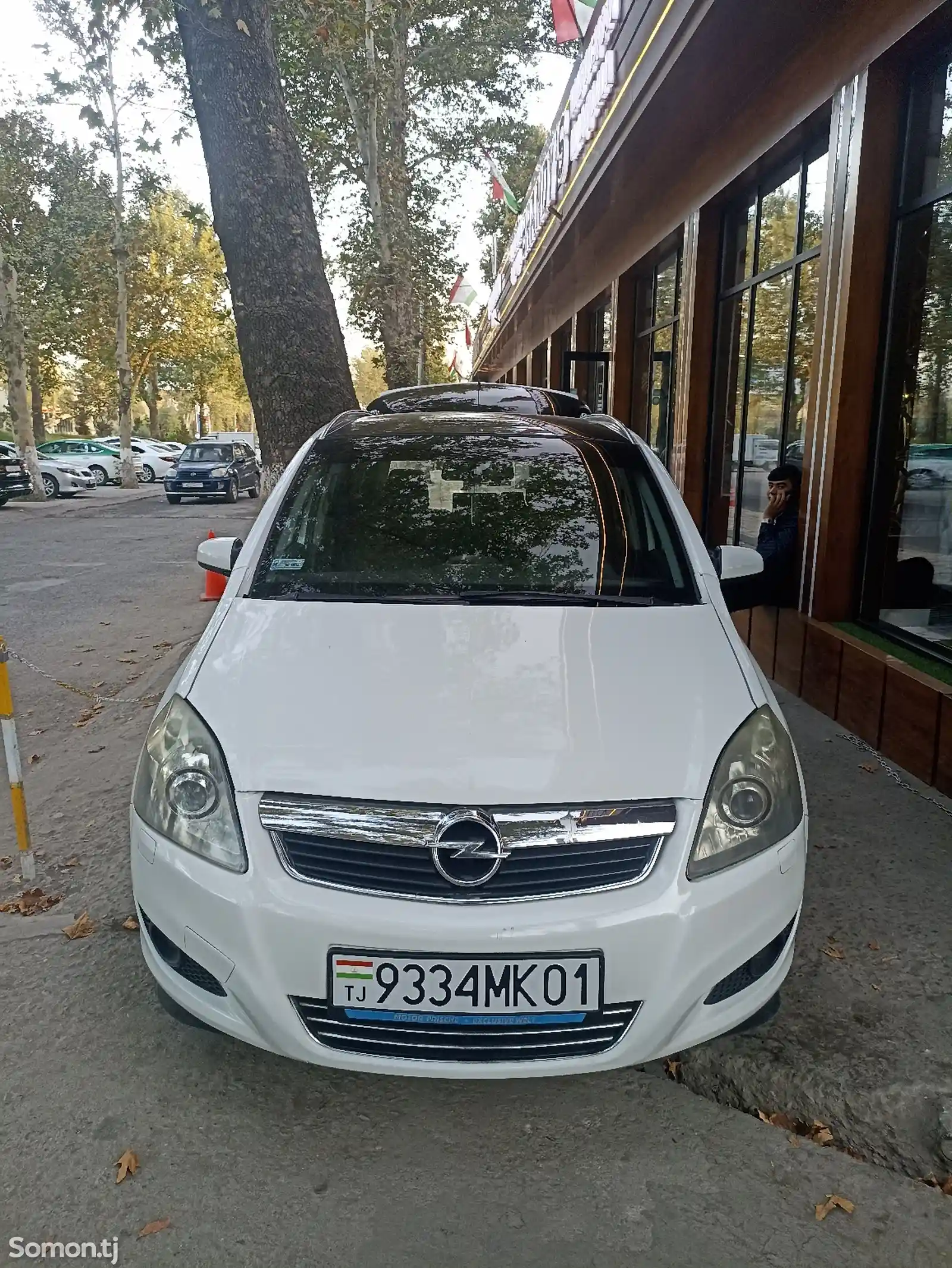 Opel Zafira, 2008-1