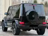 Mercedes-Benz G class, 2024-7