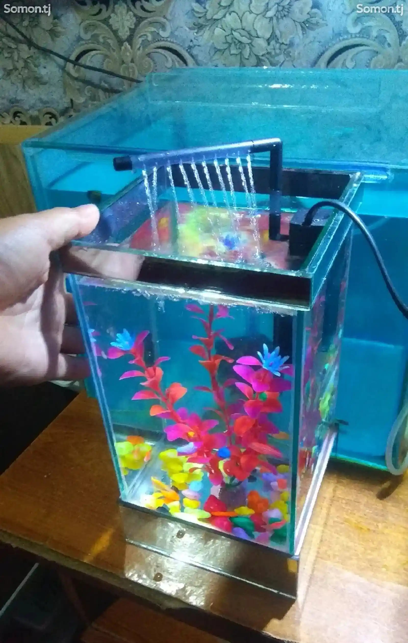 Комплект мини аквариум подарочный 4л-1