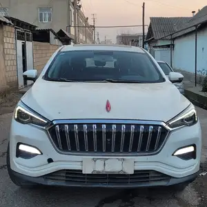 Hongqi E-HS9, 2019