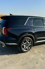 Hyundai Palisade, 2024-7